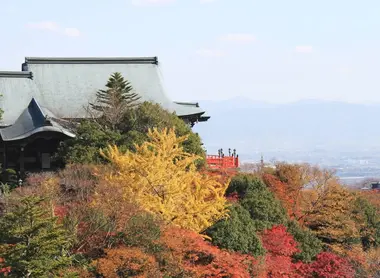 Chogosonshi-ji Chogosonshi-ji