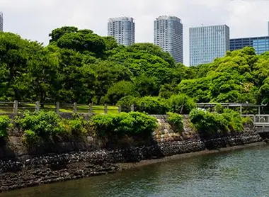 Les jardins de Hama-Rikyu vus du Cosmo Les jardins de Hama-Rikyu vus du Cosmo