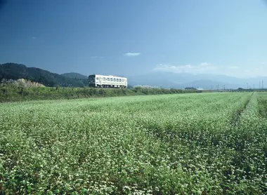 Ligne de train vers Ono