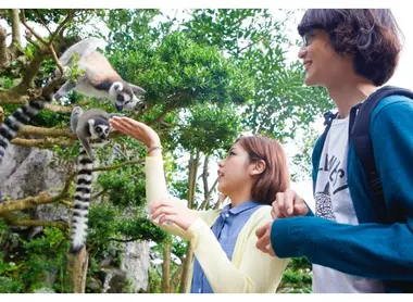 Izu shaboten zoo
