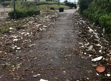Les détritus laissés après le retrait de l'eau Les détritus laissés après le retrait de l'eau
