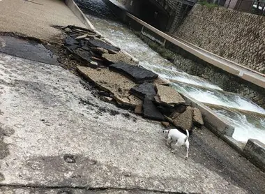 La promenade accidentée...
