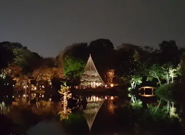 Érable, cyprès, plante d'eau, chaque espèce a son éclairage Érable, cyprès, plante d'eau, chaque espèce a son éclairage