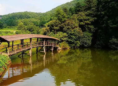 Pont Tamaru à Uchiko