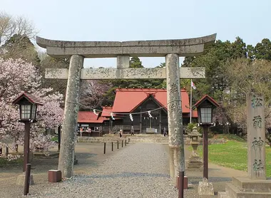 Le sanctuaire de Matsumae a lui aussi ses cerisiers