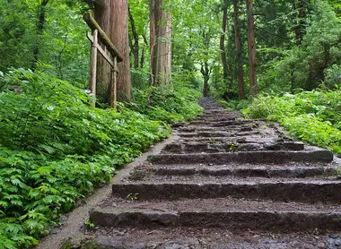 Le chemin s'enfonce entre les arbres