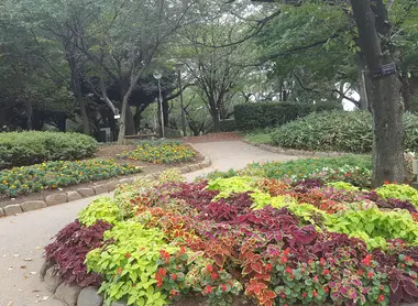 Le parc Asukayama Le parc Asukayama
