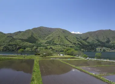 Rizières près du lac Kizaki Rizières près du lac Kizaki