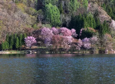 Le lac Nakatsuna au printemps Le lac Nakatsuna au printemps