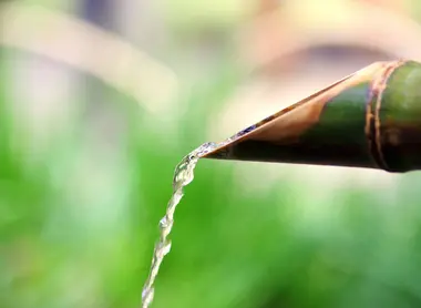 Les jardins japonais sont la représentation de l'harmonie