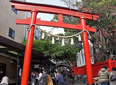 torii-chiyobo-inari-jinja torii-chiyobo-inari-jinja