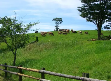 La ferme de Takachiho