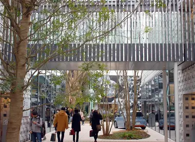 daikanyama daikanyama