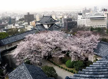Château de Wakayama Château de Wakayama