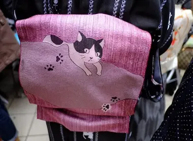 Le obi-chat, un classique