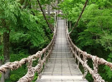 Traversée du pont de liane