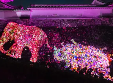 Animals_of_Flowers,_Symbiotic_Lives_in_the_Stone_Wall–Kochi_Castle_06