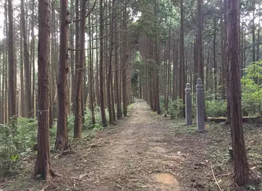 Chemin dans la forêt du Kôyasan