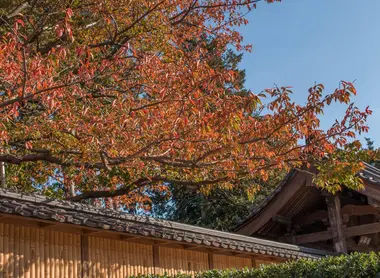 enoura-observatory-mur enoura-observatory-mur