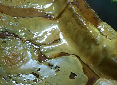 Incroyable dépôt de matière autour du onsen Yakushiyu