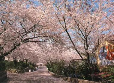 oji zoo oji zoo