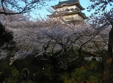 Le château d'Odawara