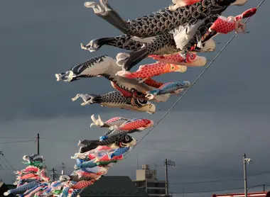 Koinobori nageant dans le ciel Koinobori nageant dans le ciel