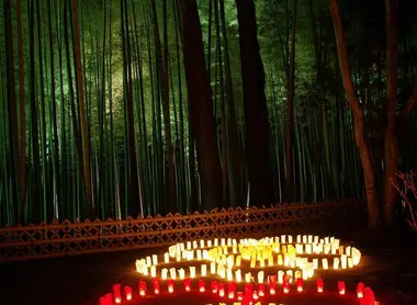 Illuminations lors du festival des pruniers de Mito Illuminations lors du festival des pruniers de Mito