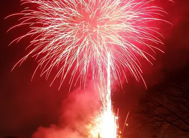 Feu d'artifices durant le festival des pruniers de Mito Feu d'artifices durant le festival des pruniers de Mito