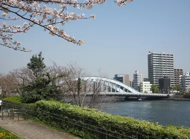 Les bords de rive de la rivière Sumida au printemps
