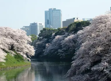 The moats of the Tokyo Imperial Palace The moats of the Tokyo Imperial Palace