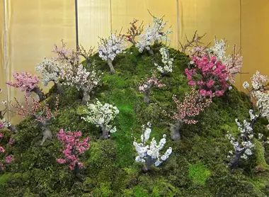 Exposition de bonzaïs en groupe