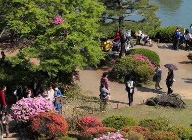 Le jardin Rikugi-en au printemps Le jardin Rikugi-en au printemps