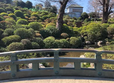 Sanctuaire Nezu Sanctuaire Nezu