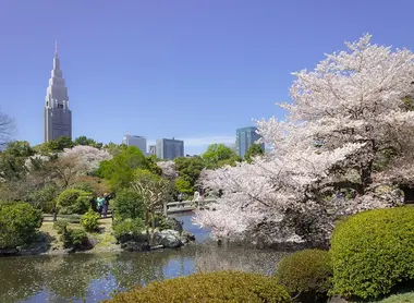 Parc de Shinjuku Parc de Shinjuku