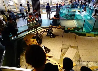 aquazoo-nifrel aquazoo-nifrel