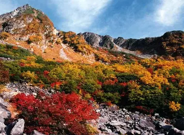 Cirque Karawasa en fleurs