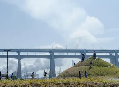 shamijima Shamijima