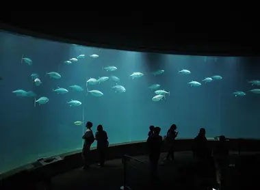 Tokyo Sea Life Park
