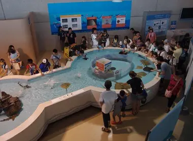 Tokyo Sea Life Park Tokyo Sea Life Park