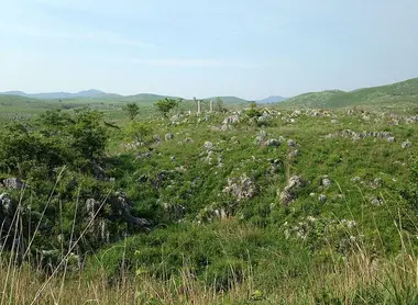 Plaine du parc Akiyoshidai