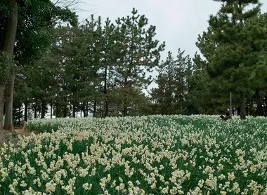 Parc Kasai Rinkai Parc Kasai Rinkai