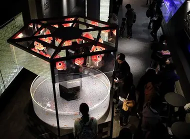 Aquarium Sumida Aquarium Sumida