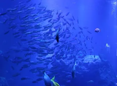 Aquarium Sumida Aquarium Sumida