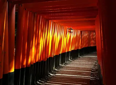Fushimi Inari