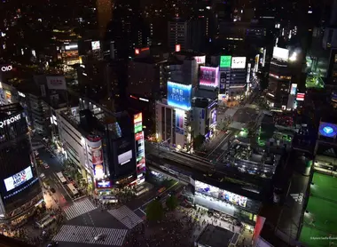 Southern Tokyo The Official Tokyo Travel Guide, GO TOKYO