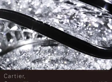 Exposition Cartier, Crystallization of Time