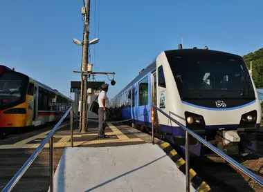 Croisement de deux Shirakami