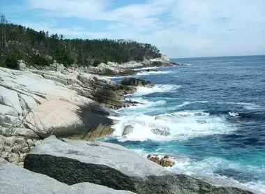 Ile de Kinkasan, Senjojiki