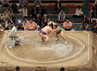 sumo sumo